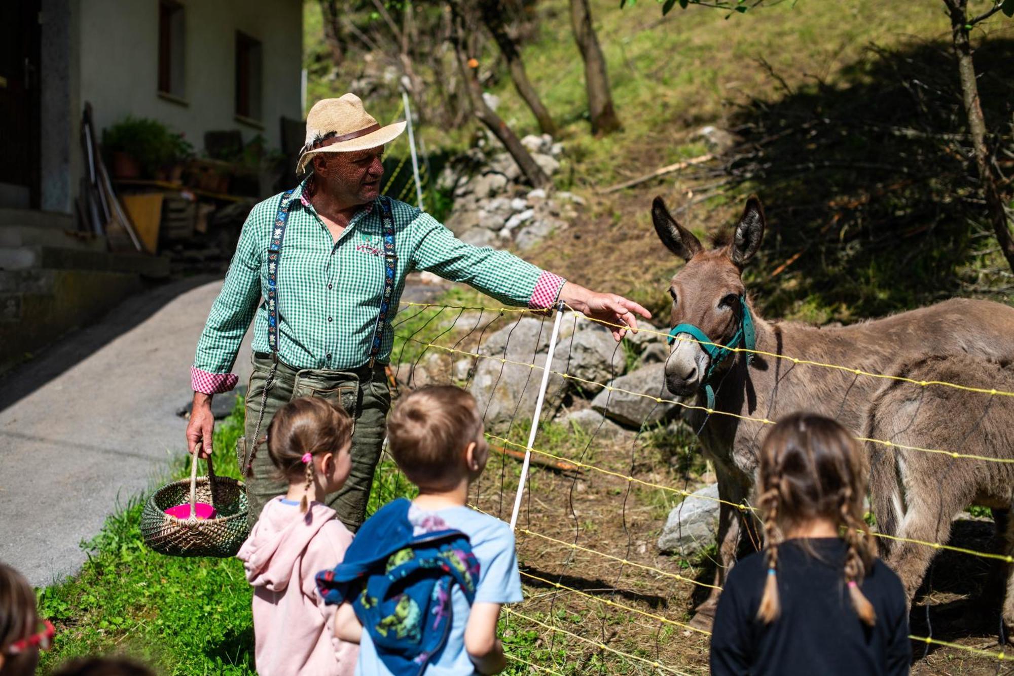 Turisticna Kmetija Grabnar Villa Bled Eksteriør bilde