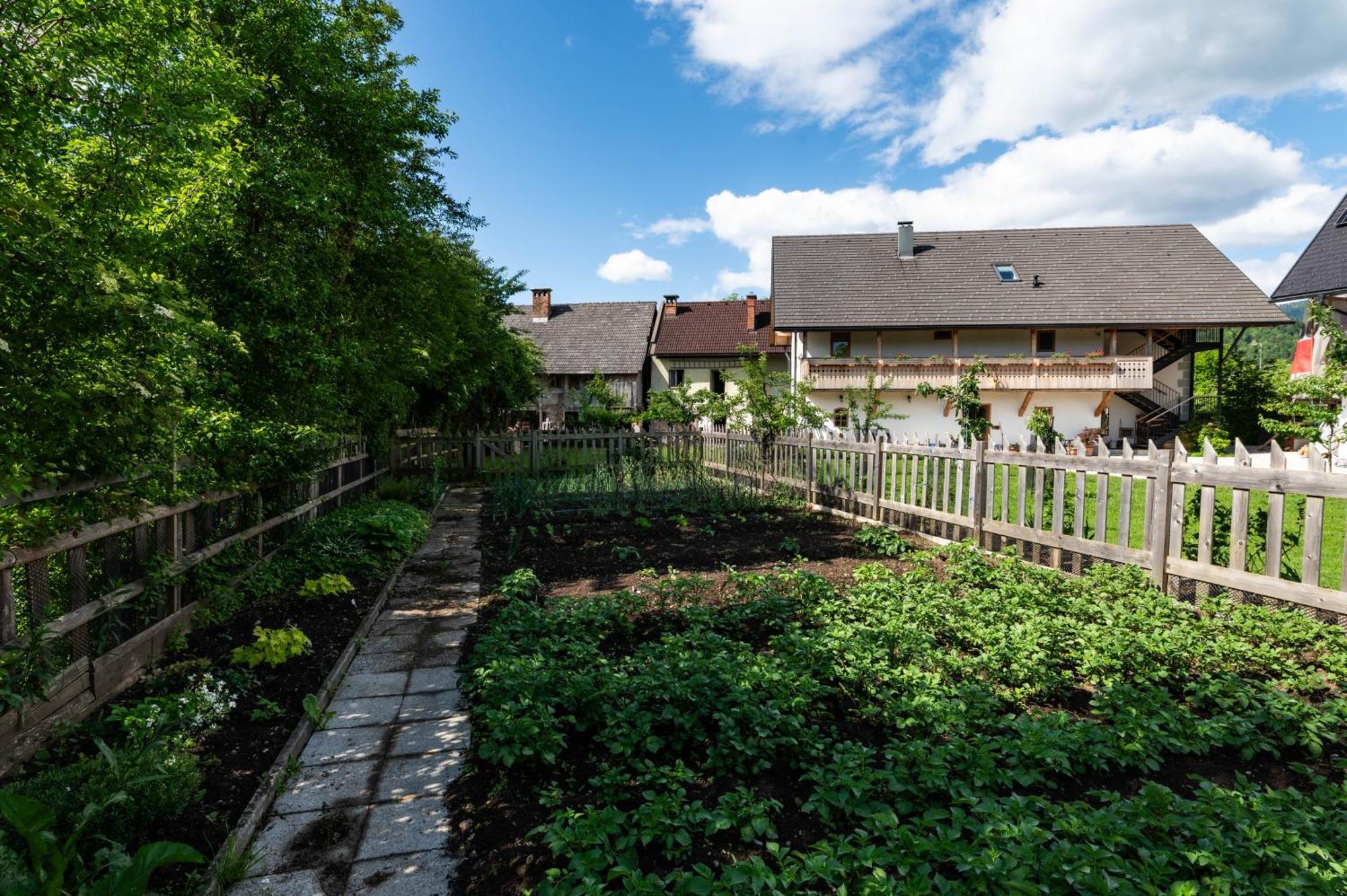 Turisticna Kmetija Grabnar Villa Bled Eksteriør bilde