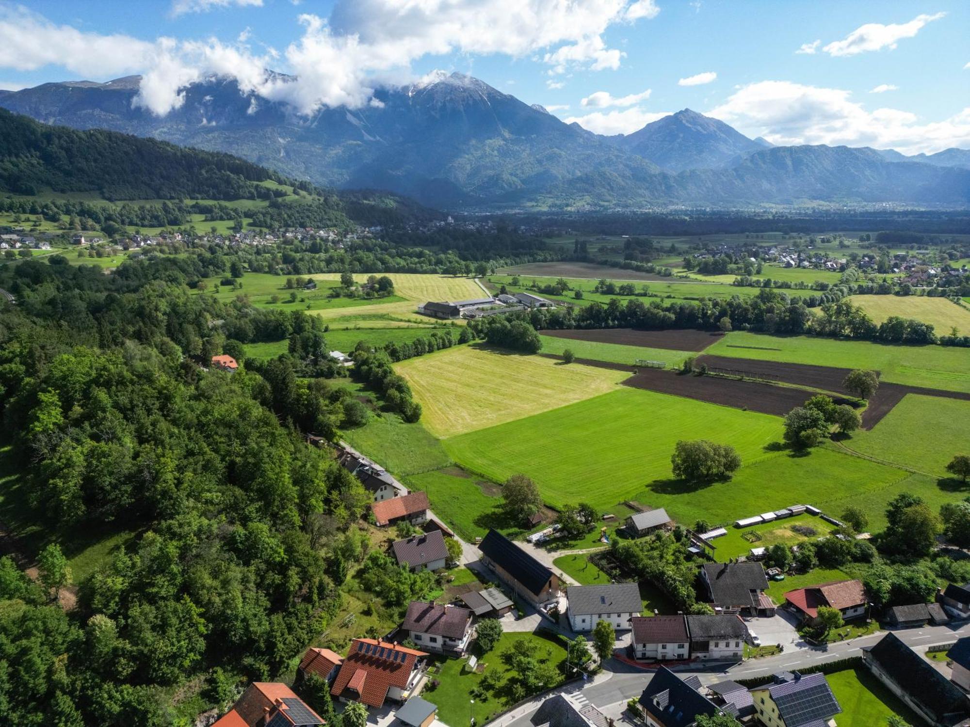 Turisticna Kmetija Grabnar Villa Bled Eksteriør bilde